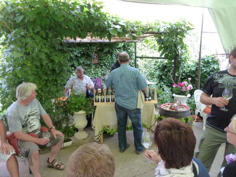 Otevřené sklepy 2014