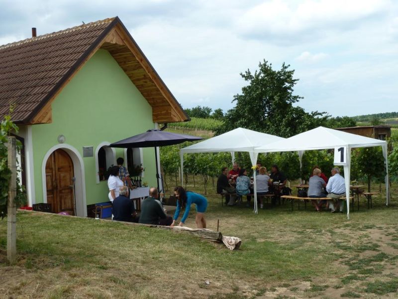 Otevřené sklepy 2014