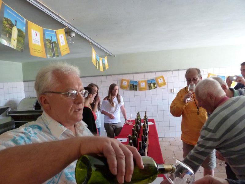 Otevřené sklepy 2014