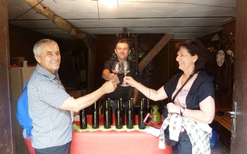 Otevřené sklepy 2014