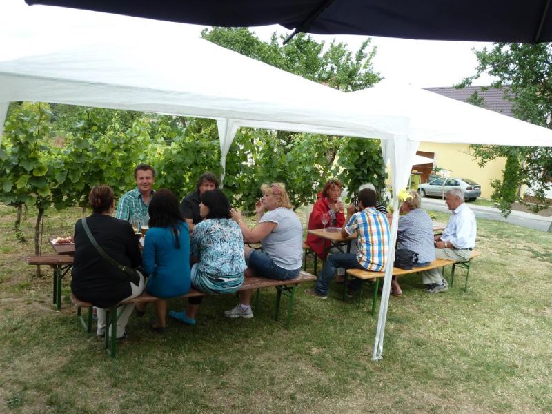 Otevřené sklepy 2014