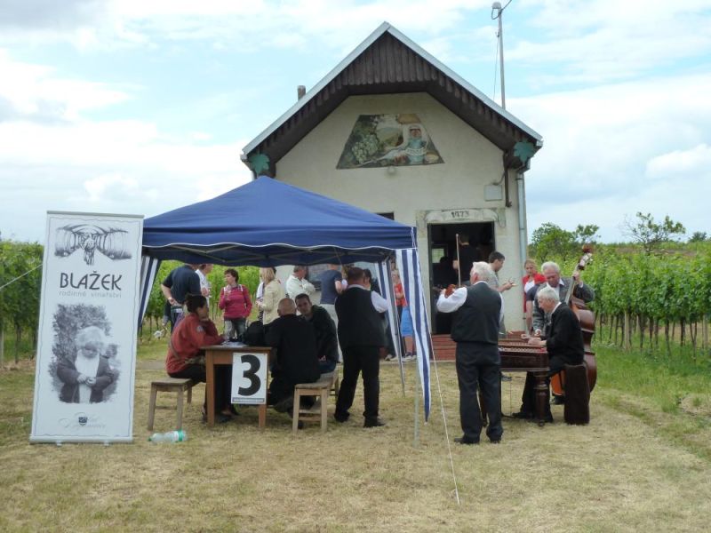 Otevřené sklepy 2014